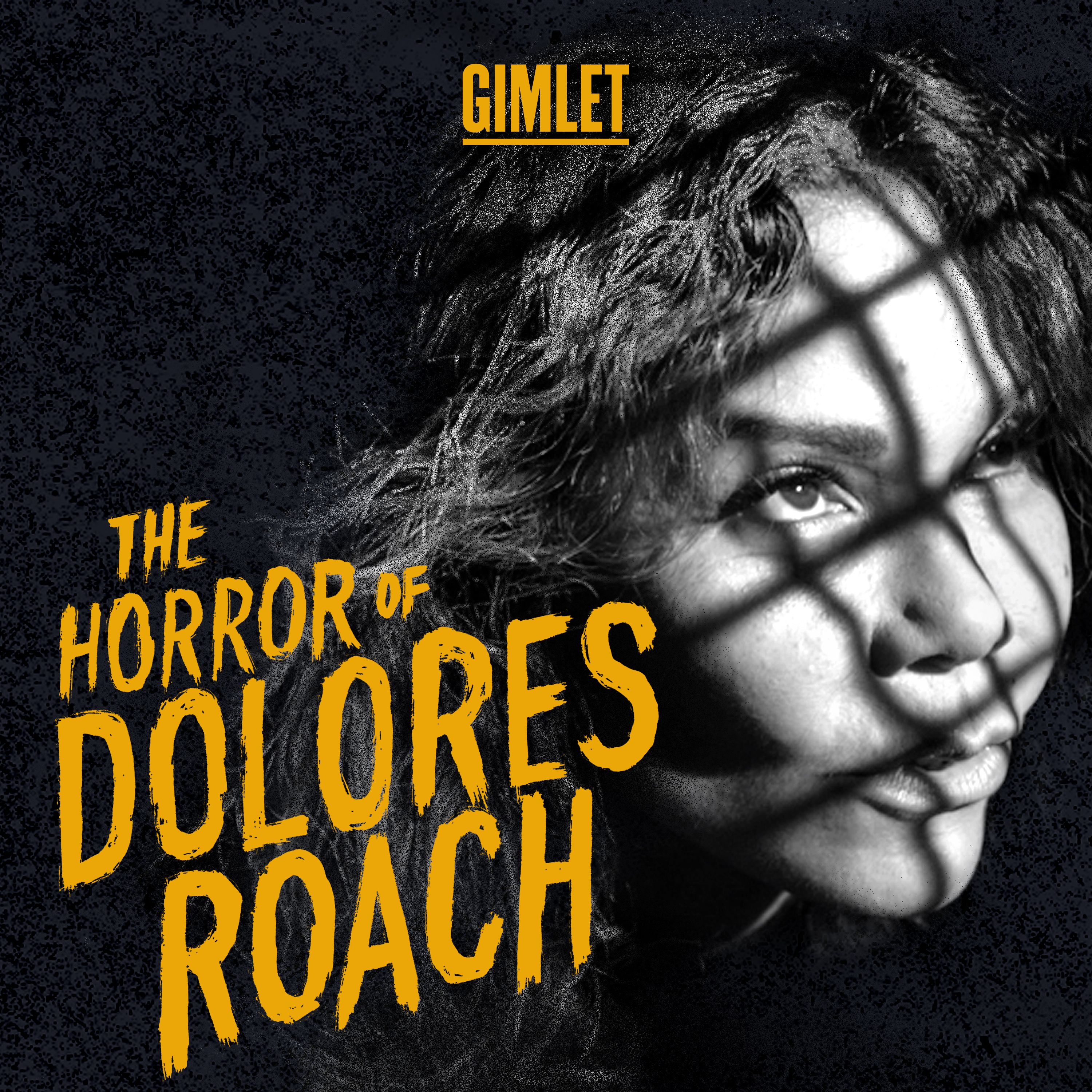 Disctopia The Horror of Dolores Roach